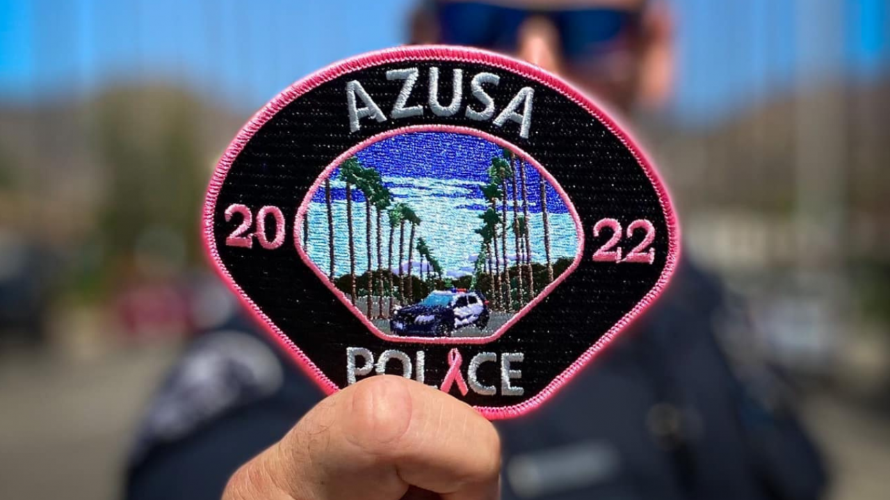 Pink Patch Project 2022