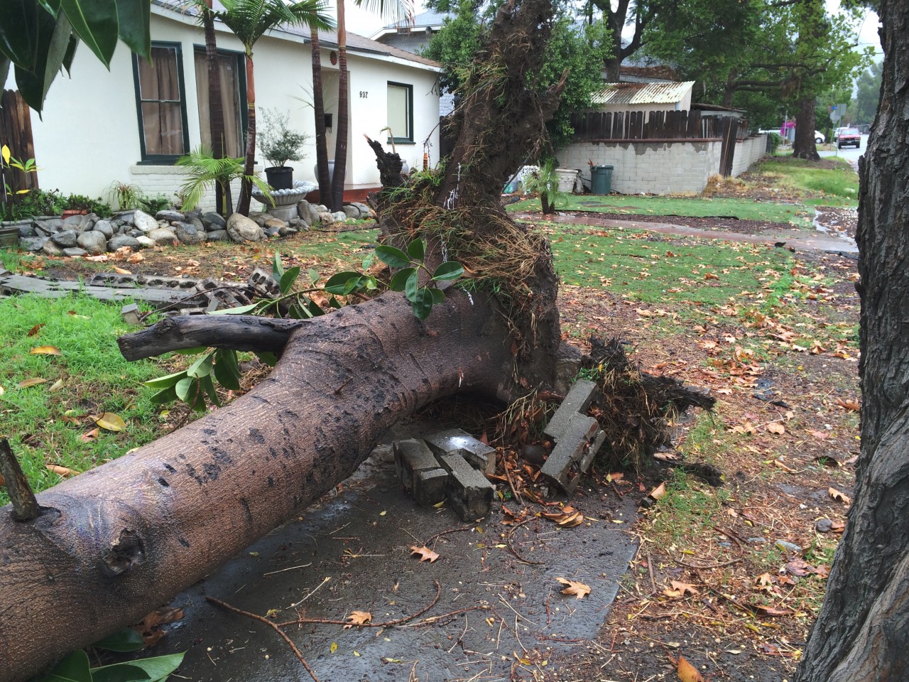 Latest Storm Information - 12/01/2014 at 11:30 am